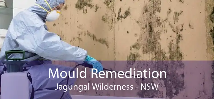 Mould Remediation Jagungal Wilderness - NSW