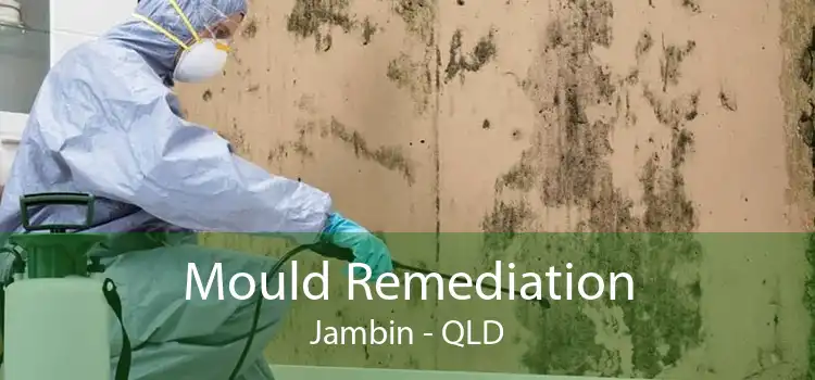 Mould Remediation Jambin - QLD