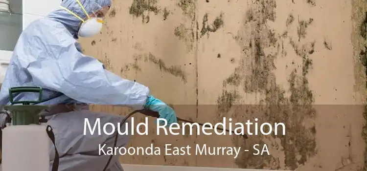 Mould Remediation Karoonda East Murray - SA