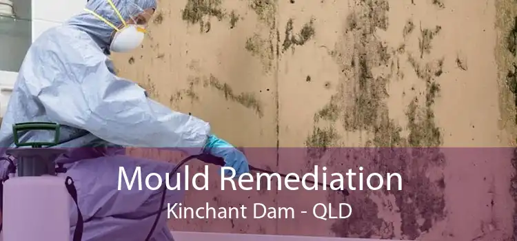 Mould Remediation Kinchant Dam - QLD