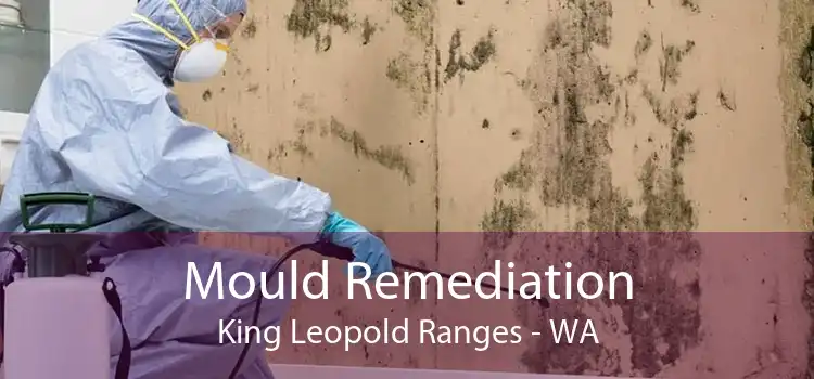 Mould Remediation King Leopold Ranges - WA