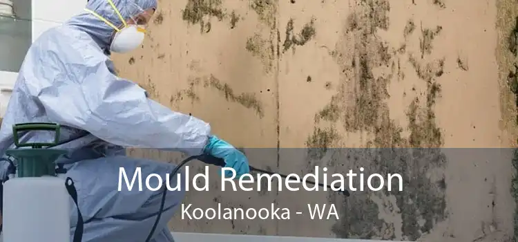 Mould Remediation Koolanooka - WA
