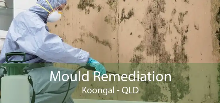 Mould Remediation Koongal - QLD