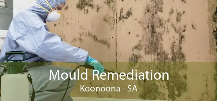 Mould Remediation Koonoona - SA