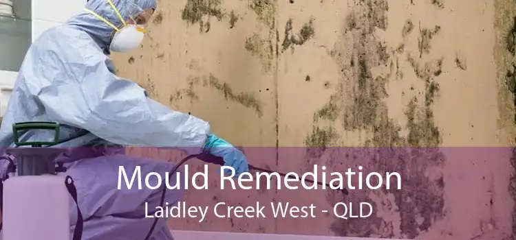 Mould Remediation Laidley Creek West - QLD