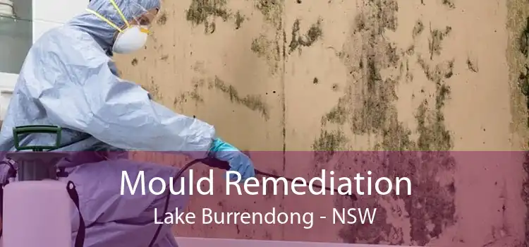 Mould Remediation Lake Burrendong - NSW