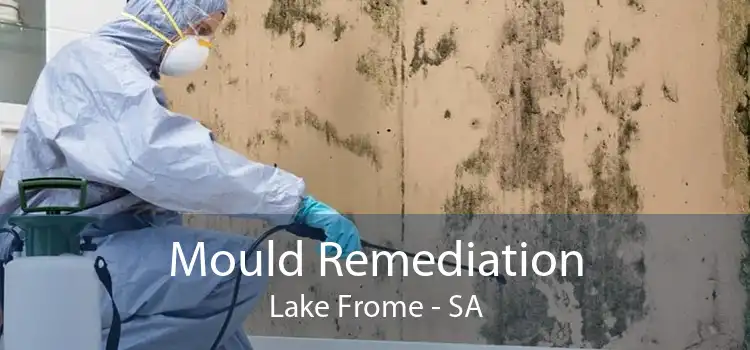 Mould Remediation Lake Frome - SA