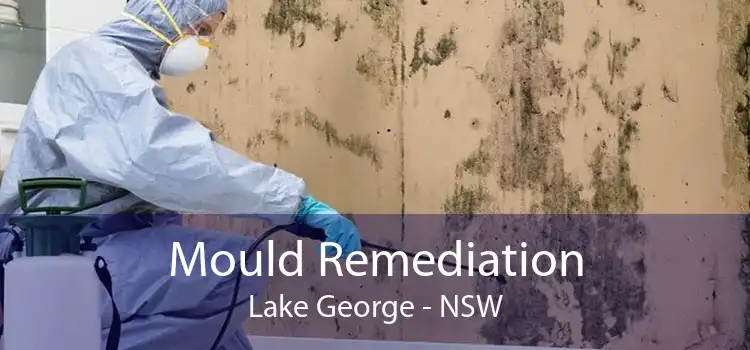 Mould Remediation Lake George - NSW