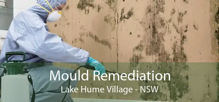 Mould Remediation Lake Hume Village - NSW