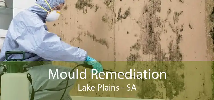 Mould Remediation Lake Plains - SA