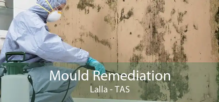 Mould Remediation Lalla - TAS