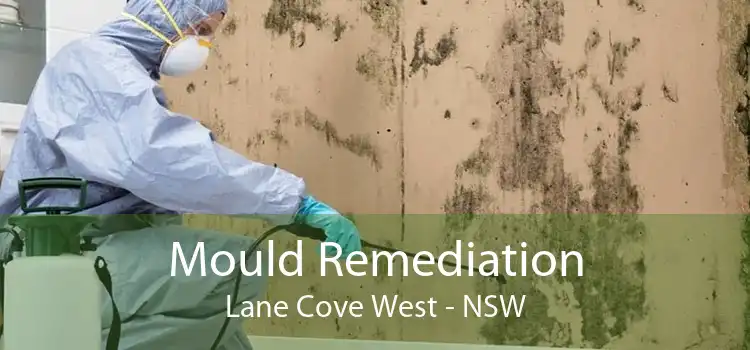 Mould Remediation Lane Cove West - NSW