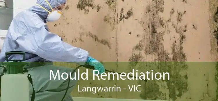 Mould Remediation Langwarrin - VIC