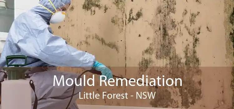 Mould Remediation Little Forest - NSW