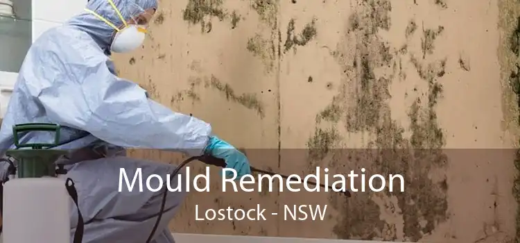 Mould Remediation Lostock - NSW