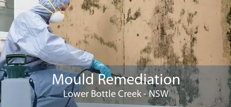 Mould Remediation Lower Bottle Creek - NSW