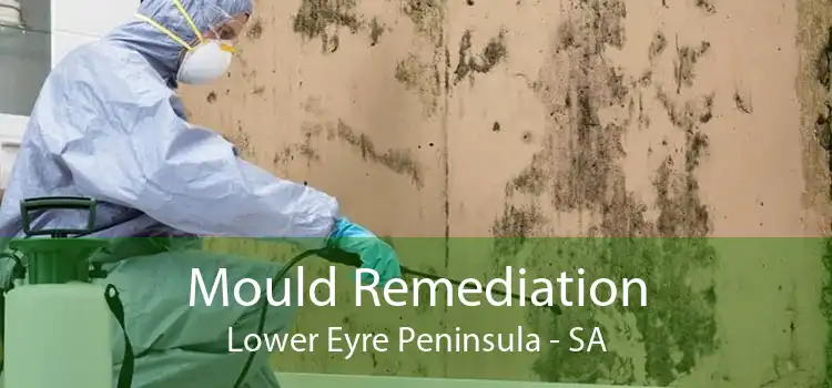 Mould Remediation Lower Eyre Peninsula - SA