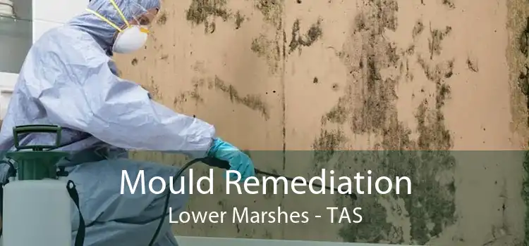 Mould Remediation Lower Marshes - TAS