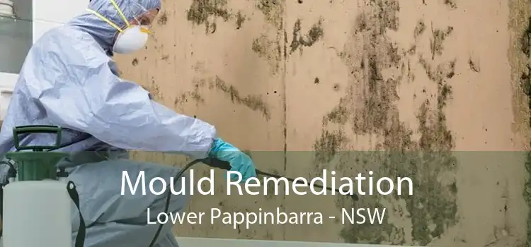 Mould Remediation Lower Pappinbarra - NSW