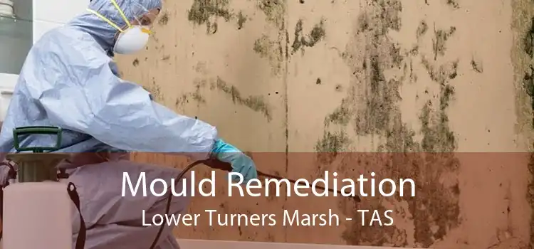 Mould Remediation Lower Turners Marsh - TAS
