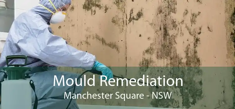 Mould Remediation Manchester Square - NSW