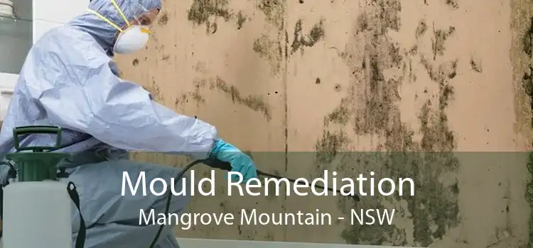 Mould Remediation Mangrove Mountain - NSW