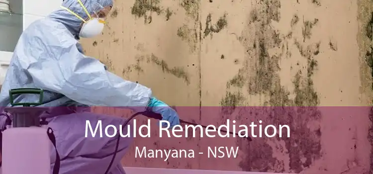 Mould Remediation Manyana - NSW