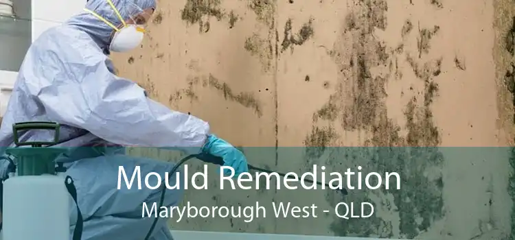 Mould Remediation Maryborough West - QLD