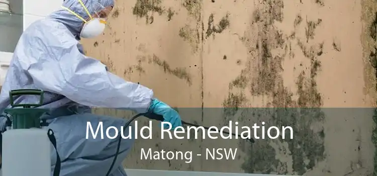 Mould Remediation Matong - NSW