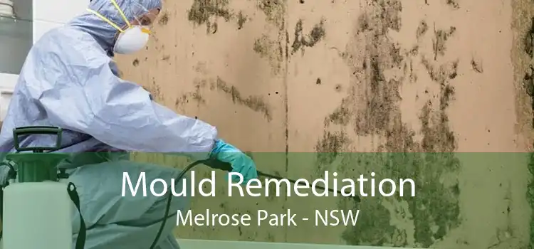 Mould Remediation Melrose Park - NSW