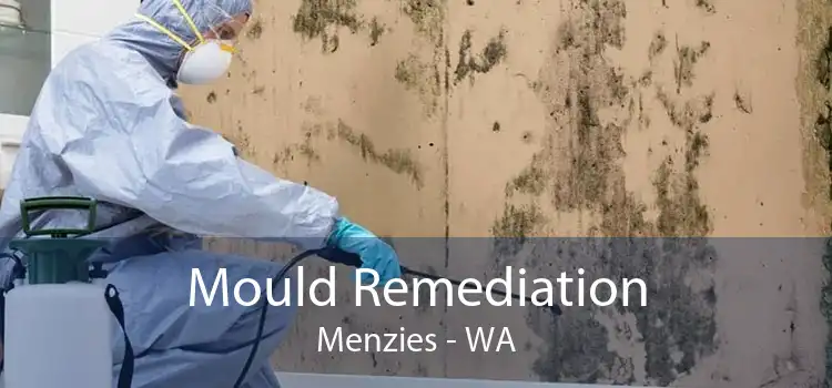 Mould Remediation Menzies - WA