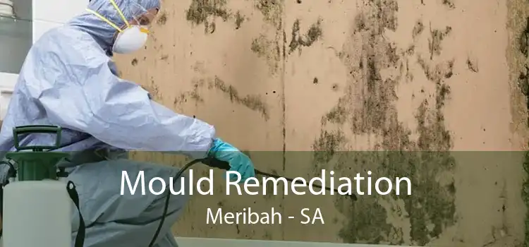 Mould Remediation Meribah - SA