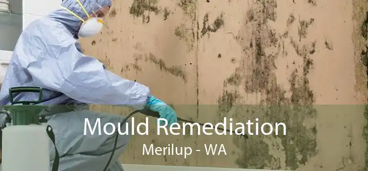 Mould Remediation Merilup - WA