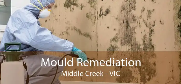 Mould Remediation Middle Creek - VIC