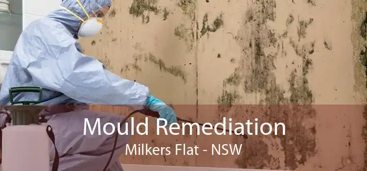 Mould Remediation Milkers Flat - NSW