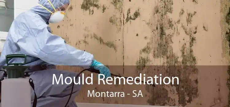 Mould Remediation Montarra - SA
