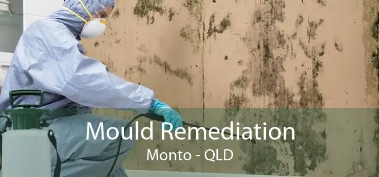 Mould Remediation Monto - QLD