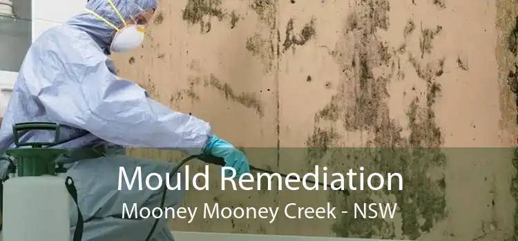 Mould Remediation Mooney Mooney Creek - NSW