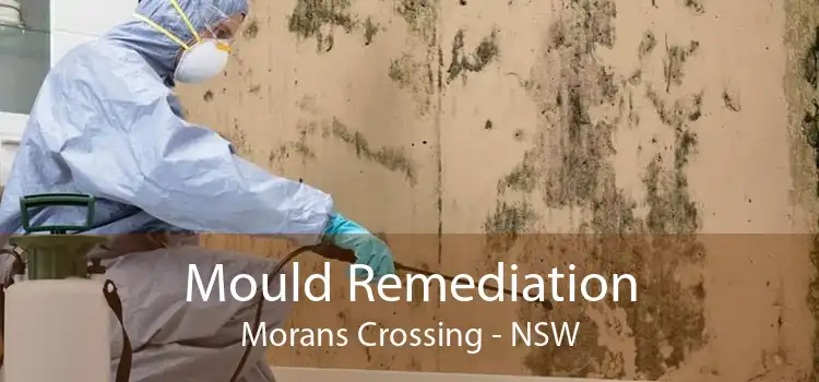 Mould Remediation Morans Crossing - NSW