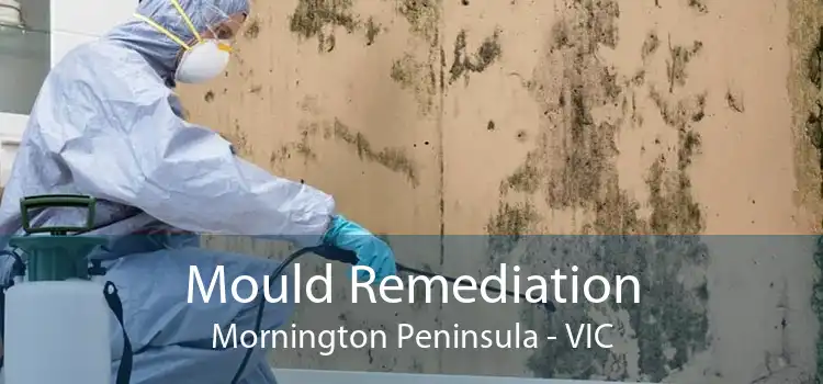 Mould Remediation Mornington Peninsula - VIC