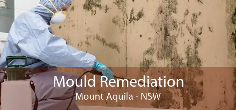 Mould Remediation Mount Aquila - NSW