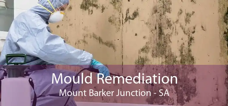 Mould Remediation Mount Barker Junction - SA