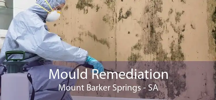 Mould Remediation Mount Barker Springs - SA