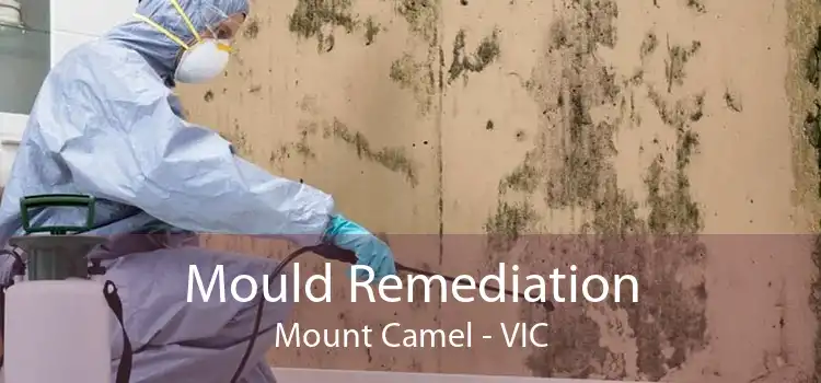 Mould Remediation Mount Camel - VIC