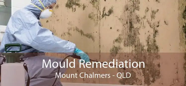 Mould Remediation Mount Chalmers - QLD