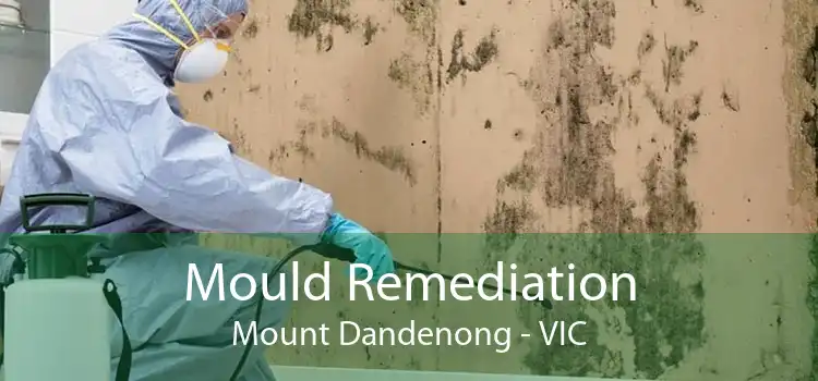 Mould Remediation Mount Dandenong - VIC