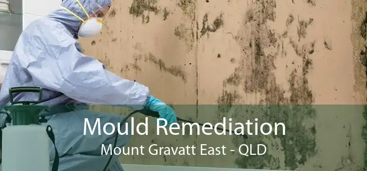 Mould Remediation Mount Gravatt East - QLD