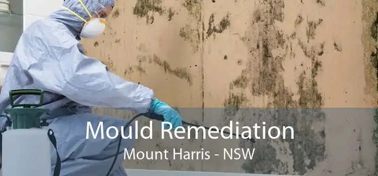 Mould Remediation Mount Harris - NSW