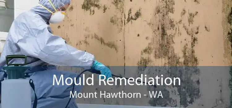 Mould Remediation Mount Hawthorn - WA