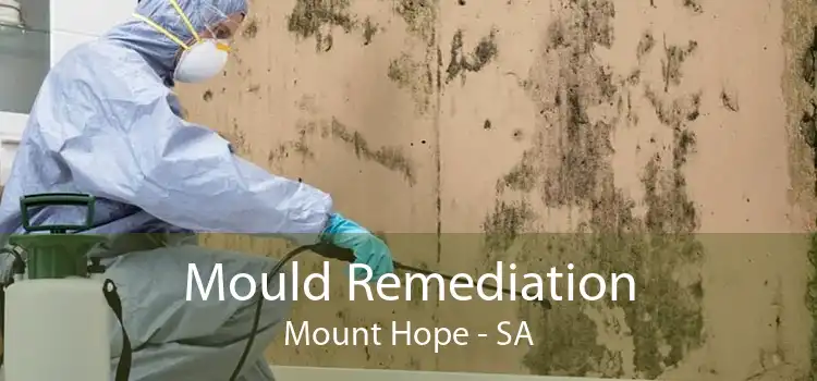 Mould Remediation Mount Hope - SA